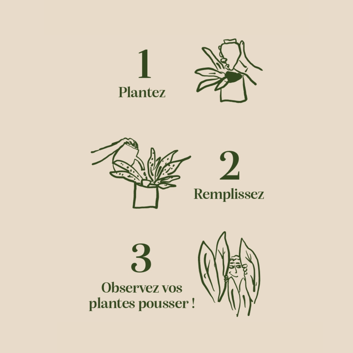 Olla - Speckled White