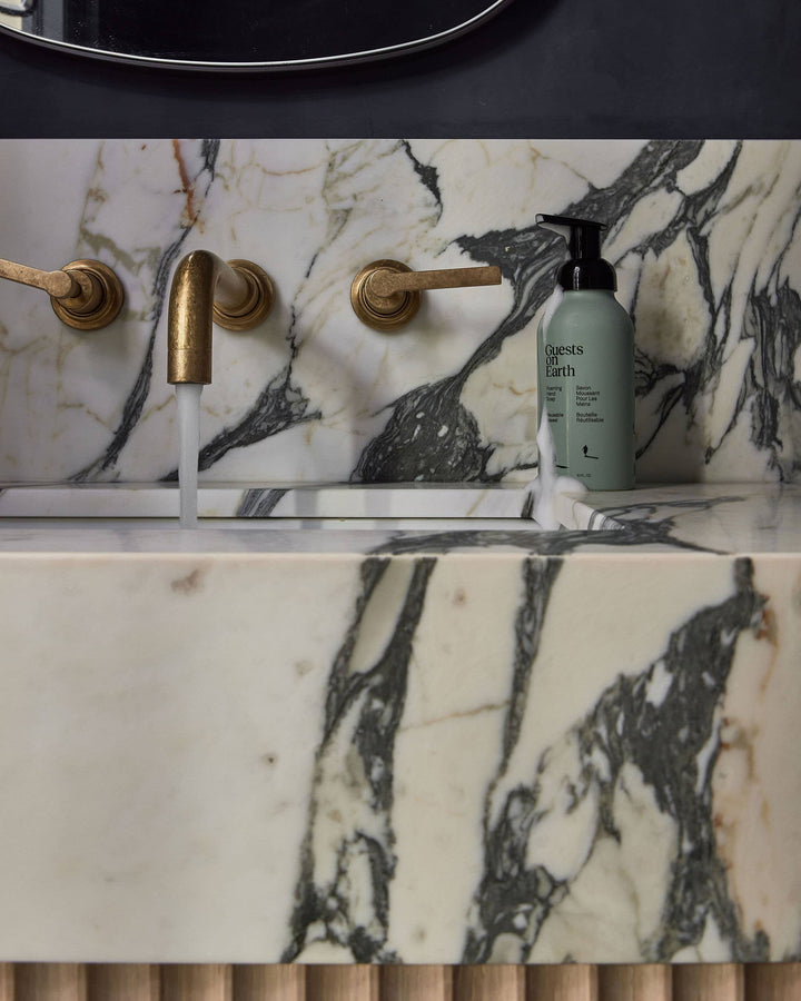 Foaming Hand Soap: Citrus Oasis