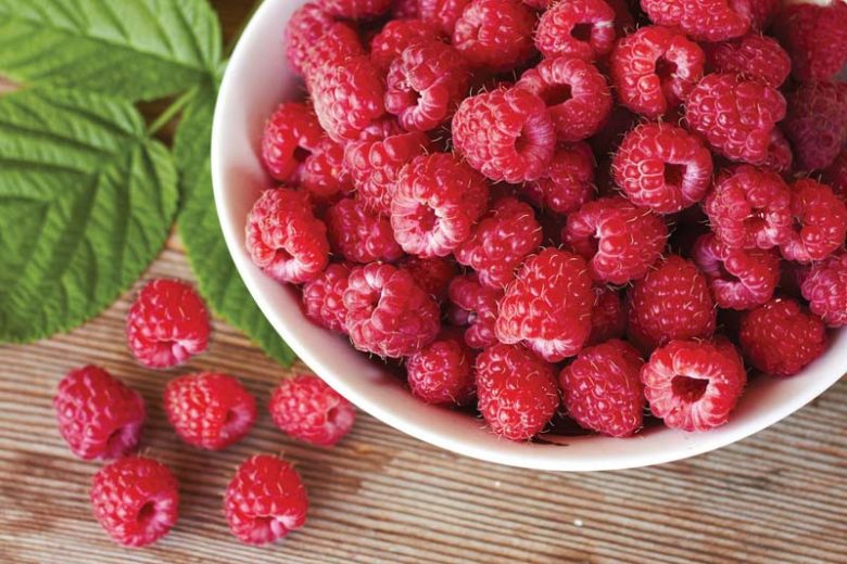 Heritage Raspberry #01