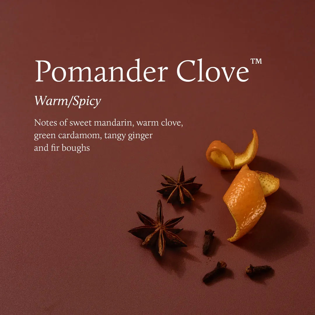 Pomander Clove Boxed Votive Candle 2 oz