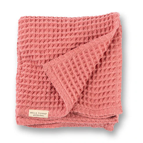 Watermelon Baby Blanket