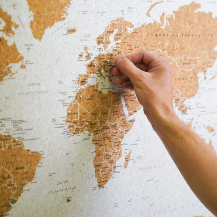 Framed Cork World Map